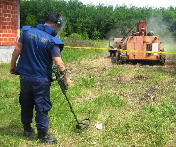 Минска поља око Модриче скривена у шипражју